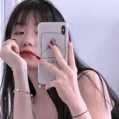 完美的独裁国家